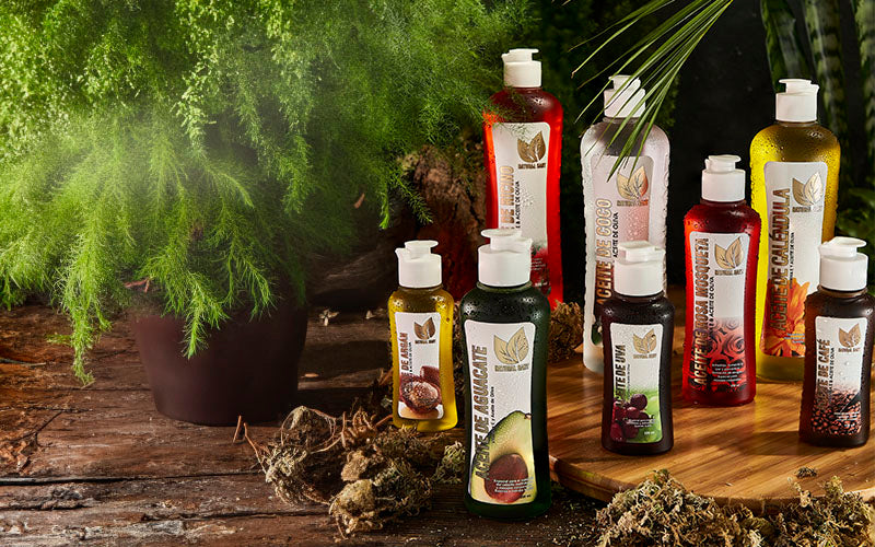 Cómo Hacer Crecer tu Pelo Sano con Remedios Caseros 6 bienestar capilar aceites naturales cabello