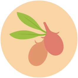 Icon1