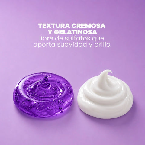 SET LisoVital