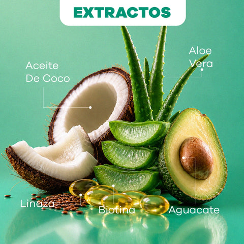 SET Rizos Saludables