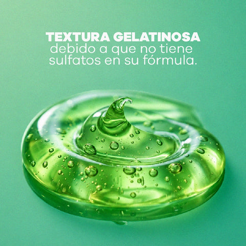 Shampoo Con Aguacate y Aceite De Oliva x 500 ml