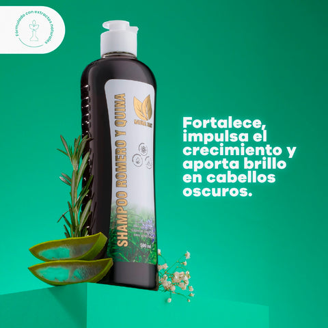 Shampoo de Romero y Quina
