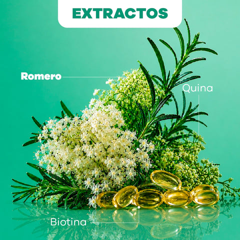 Shampoo de Romero y Quina Caja x 30 sobres