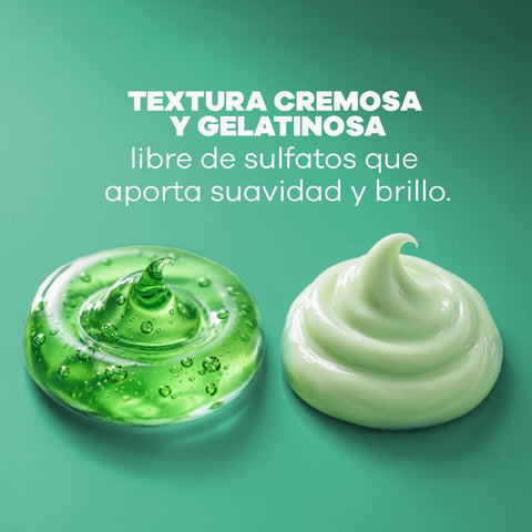 Set de Aguacate - Todo tipo de cabello