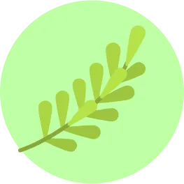 Icon3