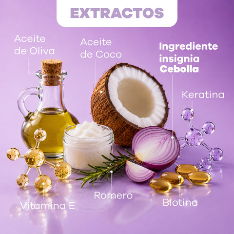 Kit viajero Lisovital